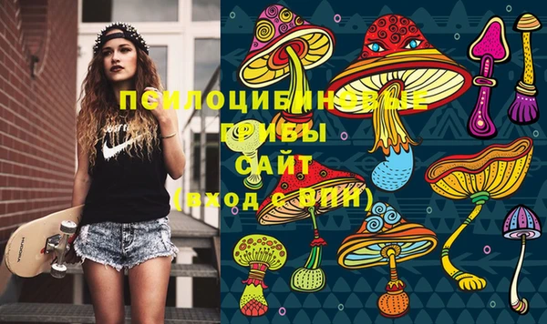 каннабис Алексеевка