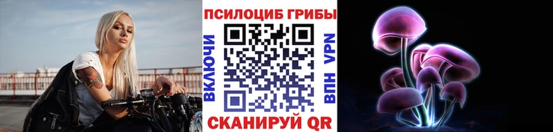 нарко площадка формула  купить   Лениногорск  Псилоцибиновые грибы Psilocybe 